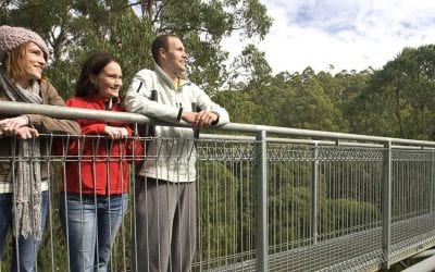 ALPACA MAPS: A NEW TOOL FOR TOURISM